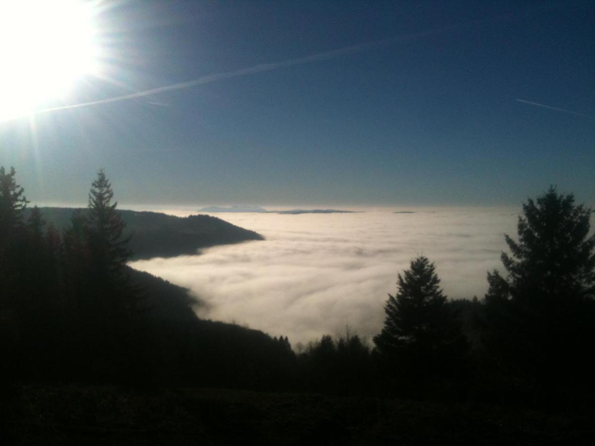 Les Gites De La Serva - Champ Du Feu - Montagnes- Vosges Belmont  ภายนอก รูปภาพ