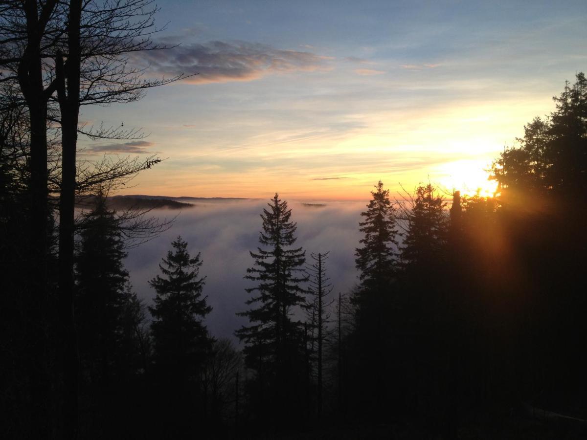 Les Gites De La Serva - Champ Du Feu - Montagnes- Vosges Belmont  ภายนอก รูปภาพ